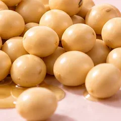 Grãos de soja